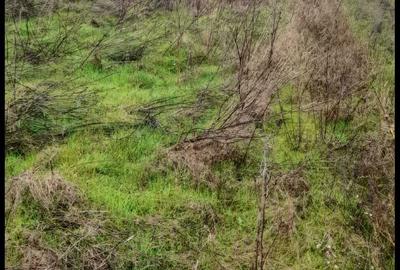 Spațiu comercial, în Central - 2