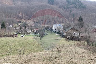 Spațiu comercial, în Valea Neagră - 1