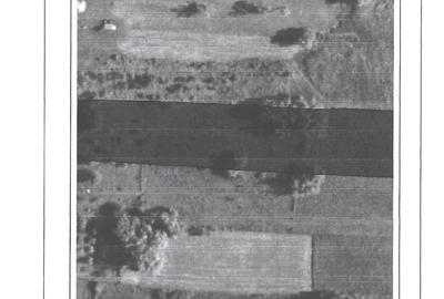 Teren de 19116 mp, în Coșești - 5