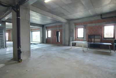 Spațiu comercial, de 450 mp, în Cișmigiu - 12