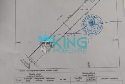 Teren Construcții intravilan de 1200 mp, în Domnești