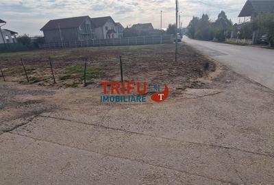 Teren cu o suprafață de 1093 mp, poziționat în zona Cetate, - 10