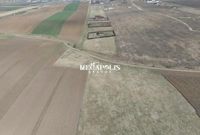 Teren Construcții intravilan de 1200 mp, în Bod - 4