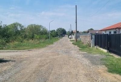 Vanzare Teren Rezidential Branesti Ilfov 1400MP - 4