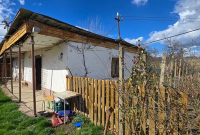 Herneacova-Casa si Teren-Livada- 2876 mp- Front 37m - 15