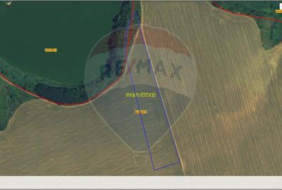 Teren agricol extravilan de 33963 mp, în Nord-Vest - 2