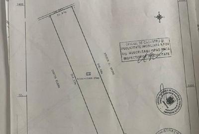 Teren Construcții intravilan de 15900 mp, în Tamași - 4