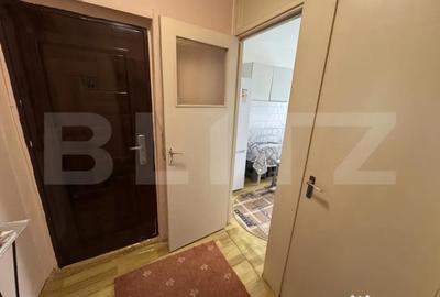 Apartament cu 2 camere semidecomandat, mobilat în Brazda lui Novac - 2