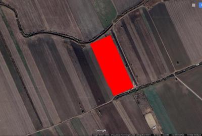 Teren Construcții extravilan de 19000 mp, în Dascălu - 2