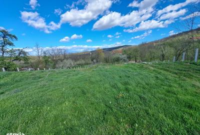 Spațiu comercial, în Straja - 3