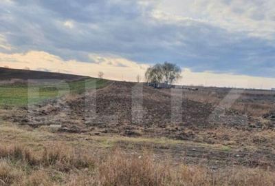 Teren de 6100 mp, în Central - 6