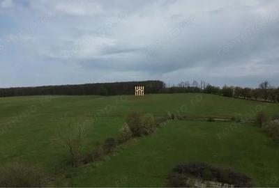 Teren de 5800 mp, în Mitocași - 1