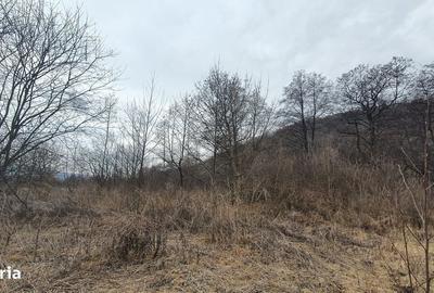 Teren de 2800 mp, în Sovata - 2
