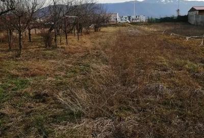 Teren Construcții intravilan de 934 mp, în Vest