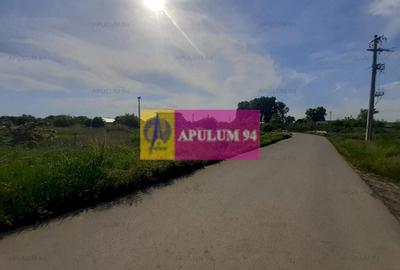 Teren construcție casă - 1 Decembrie - Zona Metropolitană București Teren construcție casă - 1 Decembrie - Zona Metropolitană București - 15