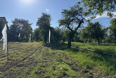 Teren de 3000 mp, în Budila - 5