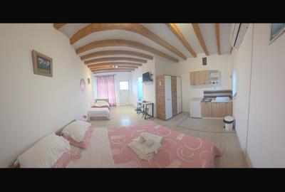 Pensiune 3 stele - Schitu-Costinesti - 215.000 euro (Cod E2) - 9