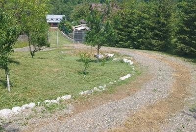 Teren de 800 mp, în Ibănești - 1