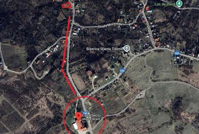 Spațiu comercial, în Seciu - 1