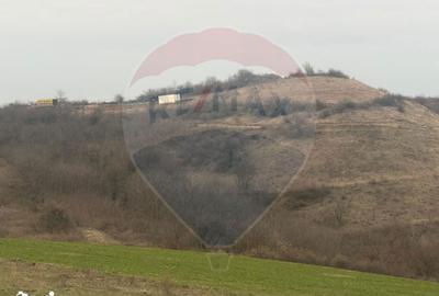 Teren de 18800 mp, în Vințu de Jos - 4