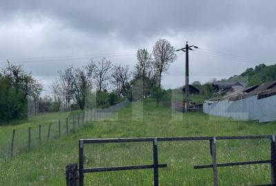 Teren de Vanzare in Bezdead - 3