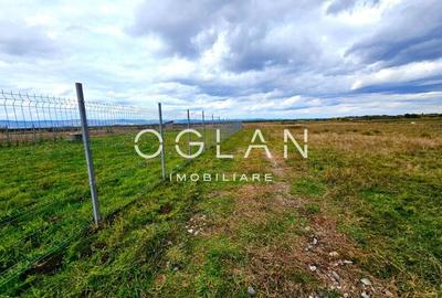 SUPER OFERTA! Teren 2000mp - Valea Avrigului, Sibiu - 4