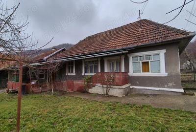 Casă în Ribița - 2