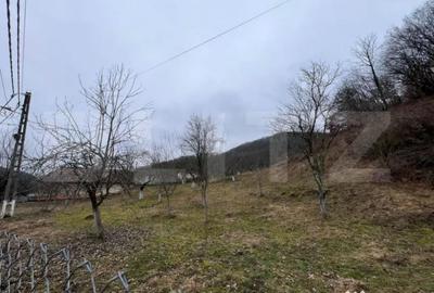 Teren în Stremț - 1