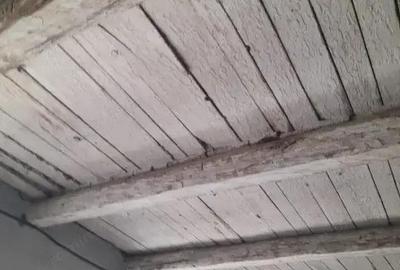 Ferma cu teren agricol de vanzare in Nadlac - 1