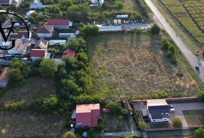 Teren intravilan -2679 mp-Branesti / Islaz - 1