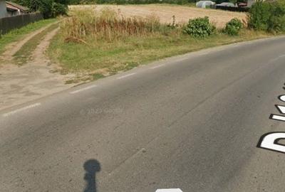 Teren de 4425 mp, în Lipia - 2