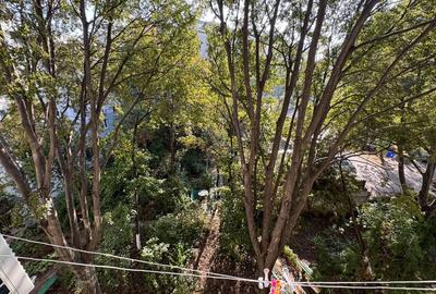 Apartament 3 camere Apusului - 2