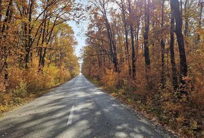 Casă nouă 3 camere 2 băi Parc Natural Comana Vlad Țepeș proprietar - 7