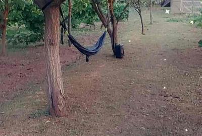 Casă cu 4 camere cu Teren 2200 Mp în Lugoj - 7