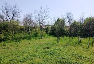 Vila in Barcanesti cu  unic proprietar, aproape de orasul Urziceni - 5