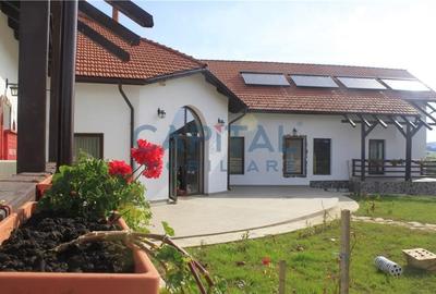 Pensiune turistica in apropiere de muntii Mehedinti - 4