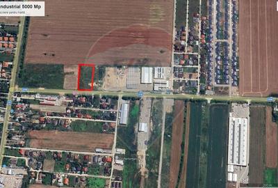Teren 5.000mp Balotesti cu autorizatie hala - 3