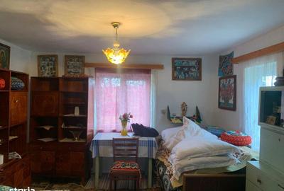 Casă cu 3 camere cu Teren 7600 Mp în Putna - 18