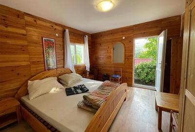 Vila deosebita, 2 corpuri P+M si P+1E, Margineni-Bacau - 10