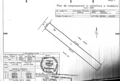 Teren investitie Berceni Teren investitie Berceni - 8