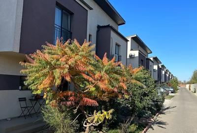 VILA Bragadiru str Iederei 34 - 19