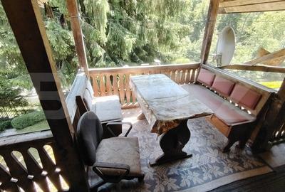 Cabana 5 camere Salard - 7