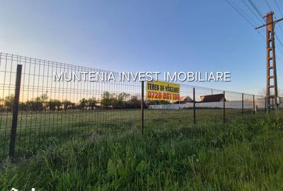 Teren de 3533 mp, în Poiana Lacului - 2