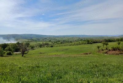 Teren în Podeni - 8