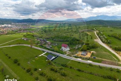 Teren de 1100 mp, în Tohănița - 4