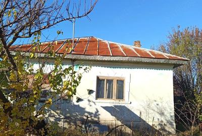 Casă cu Teren 2160 Mp în Gănești - 9