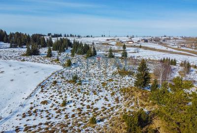 Oportunitate de investitie! 1,06 Hectare Teren Intravilan In Marisel - 5