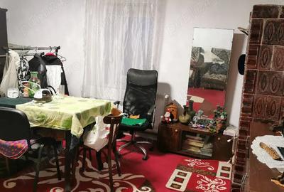 Casă cu 3 camere în Hobița - 10