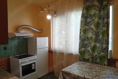 Apartament cu 1 camera in zona Sagului de inchiriat - 2