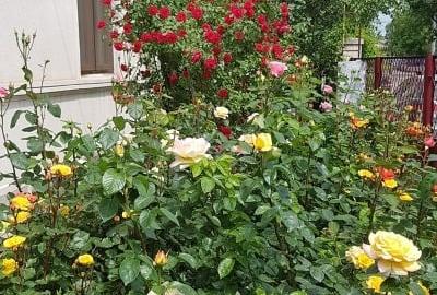 Casă individuală cu 4 camere cu Teren 540 Mp în Central - 1